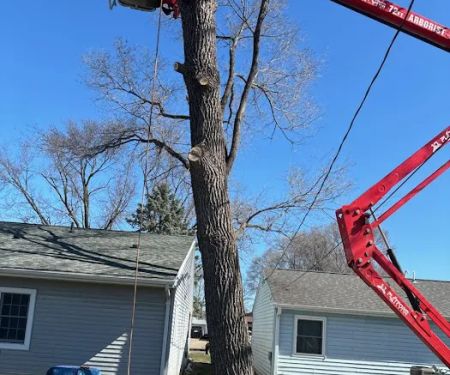 Krumrie Tree Service