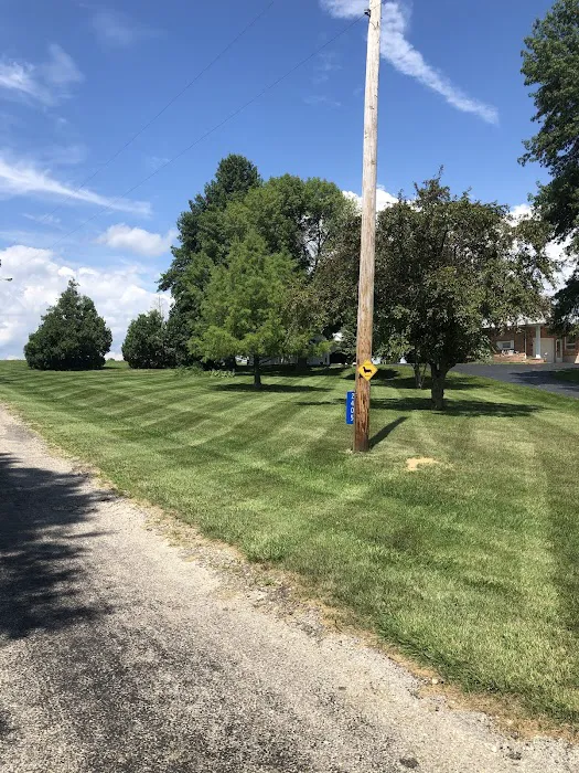 Grass masters lawn care Picture 10