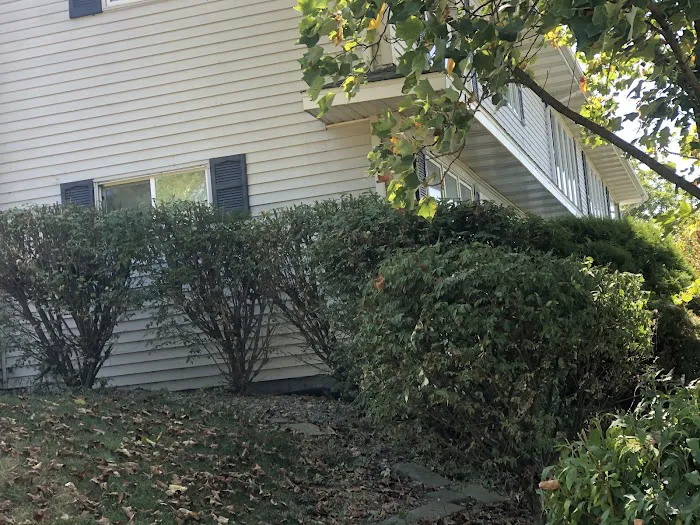 Grass masters lawn care Picture 5