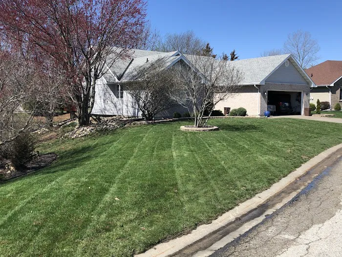 Grass masters lawn care Picture 4