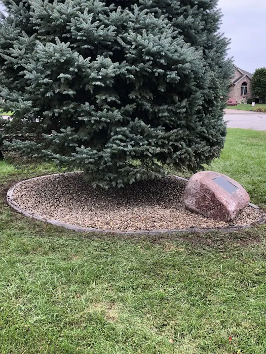Grass masters lawn care Picture 2