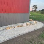 Riedel Land Management