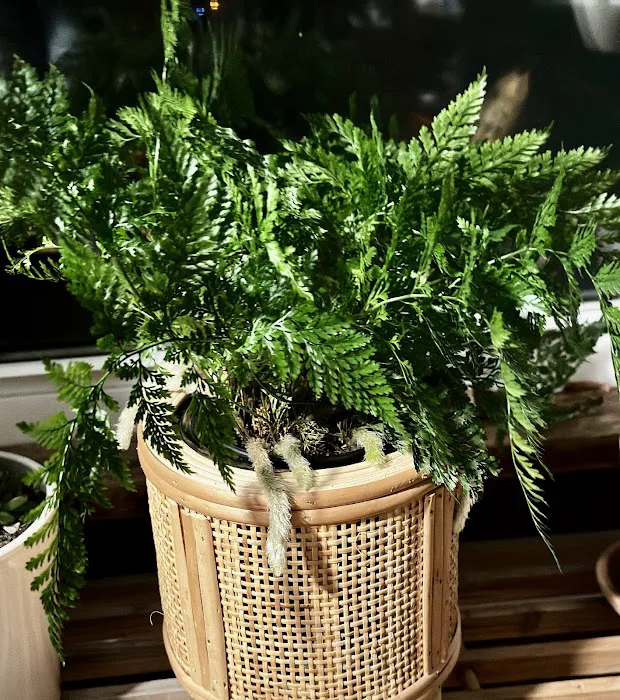 Happy Planting Picture 10