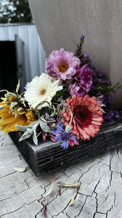 Happy Planting Picture 4