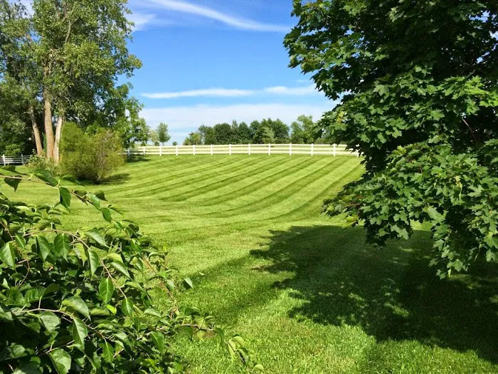 Andy's Lawn & Landscape Picture 3