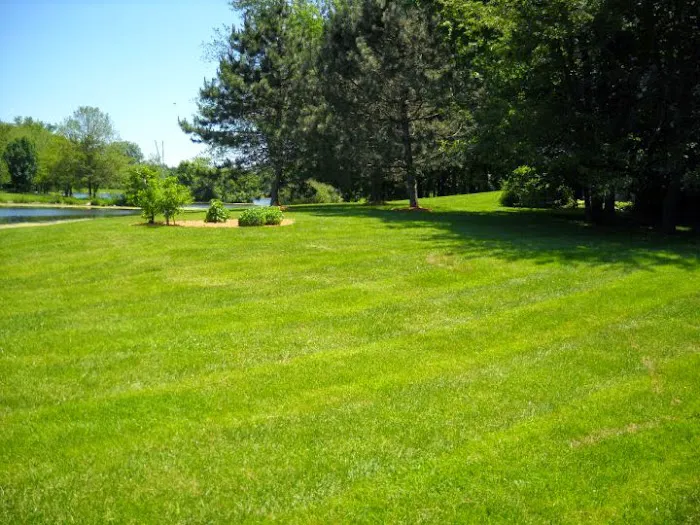 Andy's Lawn & Landscape Picture 1