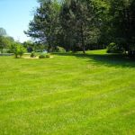 Andy's Lawn & Landscape