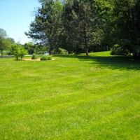 Andy's Lawn & Landscape ico
