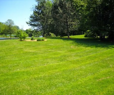 Andy's Lawn & Landscape