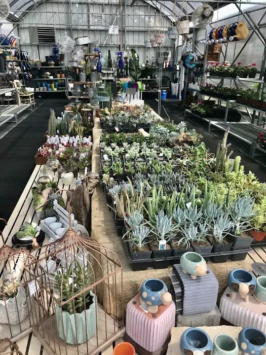 Dutch Meadows Garden Center & Landscaping Picture 5
