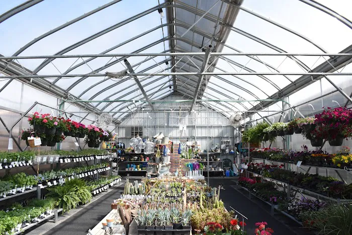 Dutch Meadows Garden Center & Landscaping Picture 6