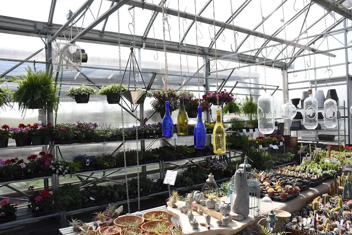 Dutch Meadows Garden Center & Landscaping Picture 4