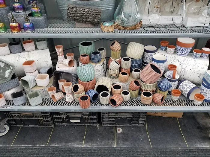 Dutch Meadows Garden Center & Landscaping Picture 9