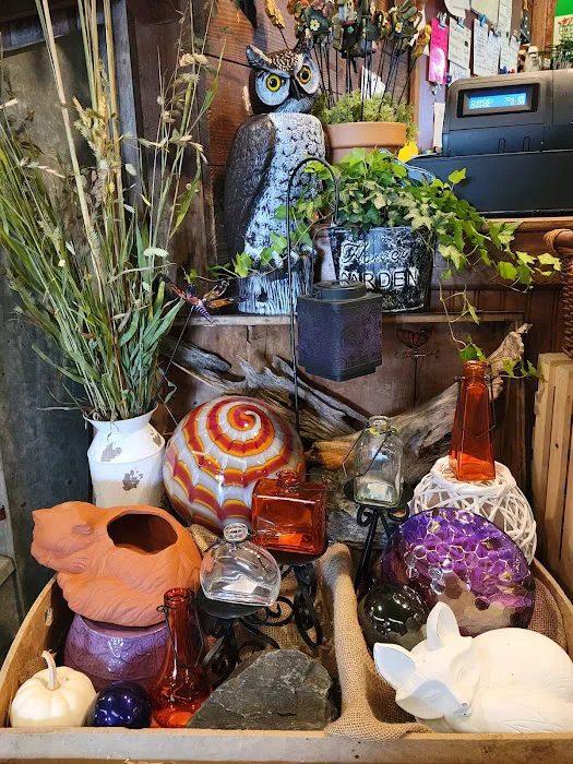 Dutch Meadows Garden Center & Landscaping Picture 8