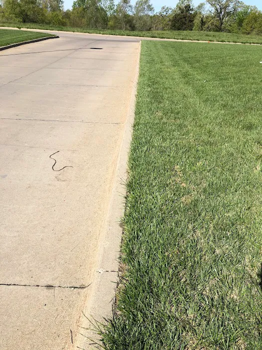 Omega Lawns & Landscaping Picture 3