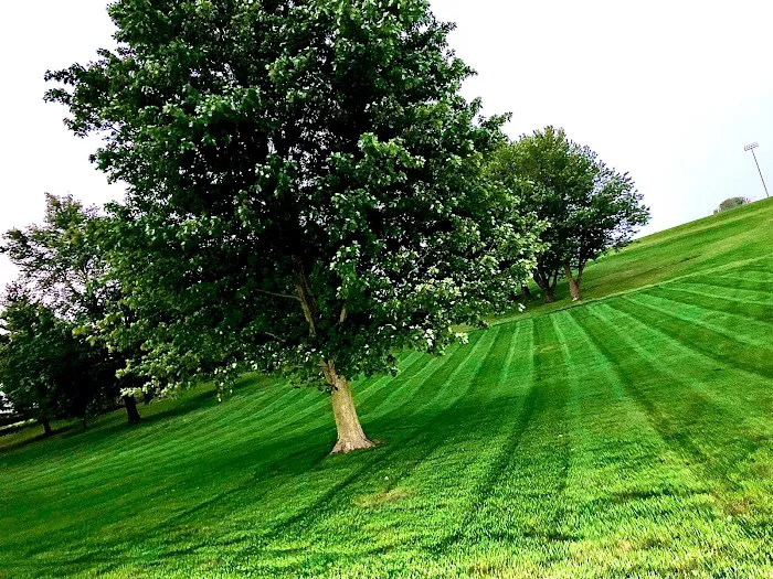 Omega Lawns & Landscaping Picture 4