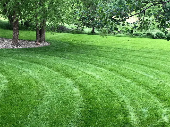 Omega Lawns & Landscaping Picture 5
