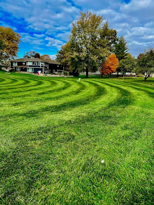 Omega Lawns & Landscaping Picture 6