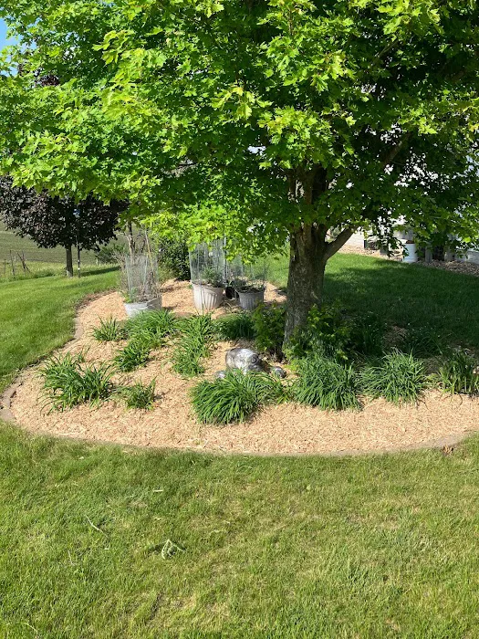 Van Wyk Lawn Services LLC Picture 9