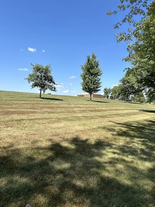 Van Wyk Lawn Services LLC Picture 5