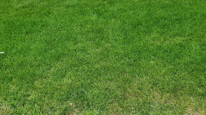 Nathans Lawn and Snow Services Picture 5