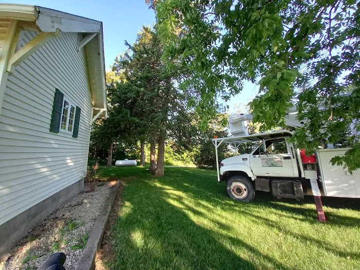 United Tree Service Centerville Iowa Picture 2