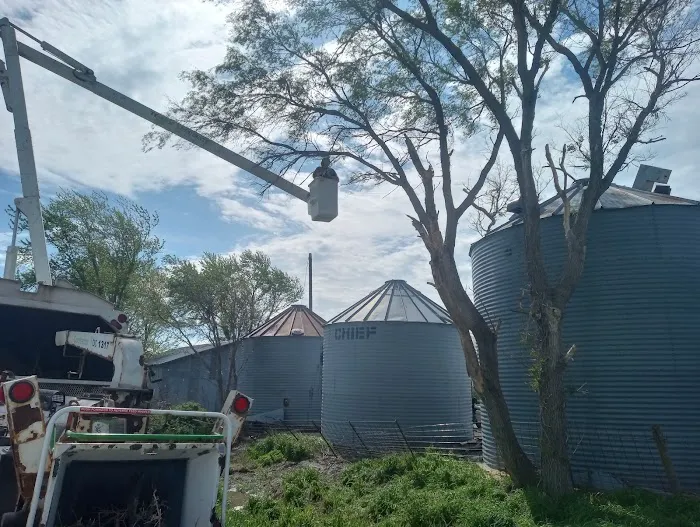 United Tree Service Centerville Iowa Picture 1