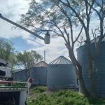 United Tree Service Centerville Iowa