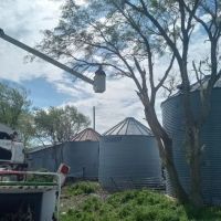 United Tree Service Centerville Iowa ico