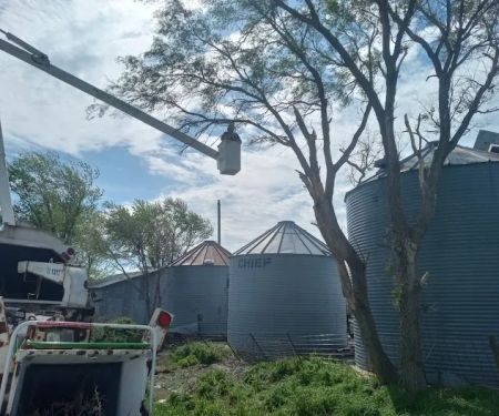 United Tree Service Centerville Iowa