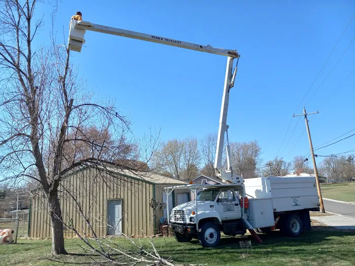 United Tree Service Centerville Iowa Picture 7