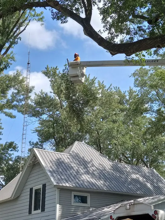 United Tree Service Centerville Iowa Picture 8