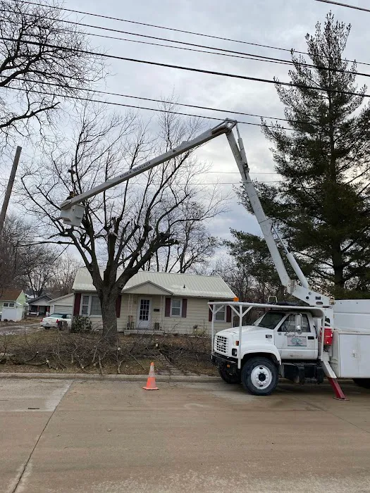 United Tree Service Centerville Iowa Picture 6