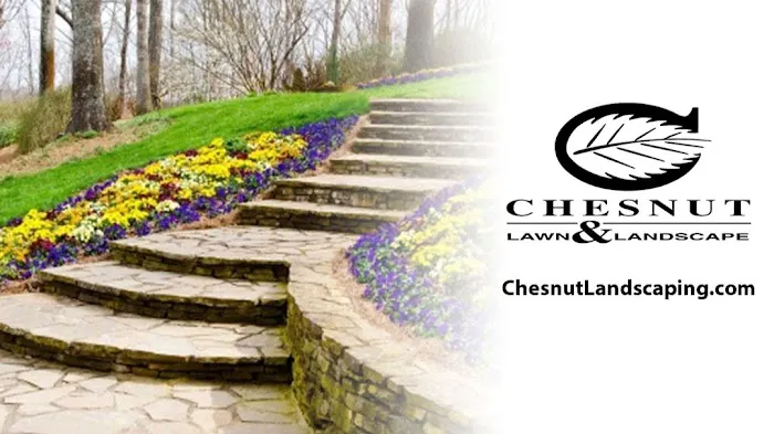 Chesnut Lawn & Landscape Picture 3