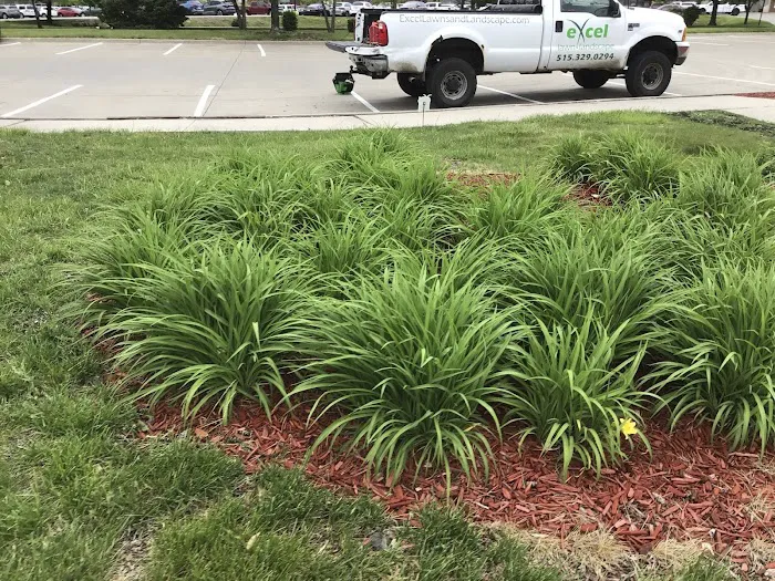 Excel Lawns & Landscape Picture 5