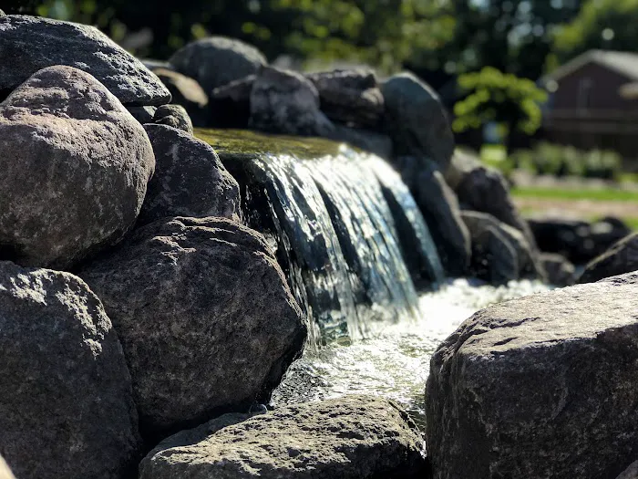 5 Sons, Landscape & Design Picture 2