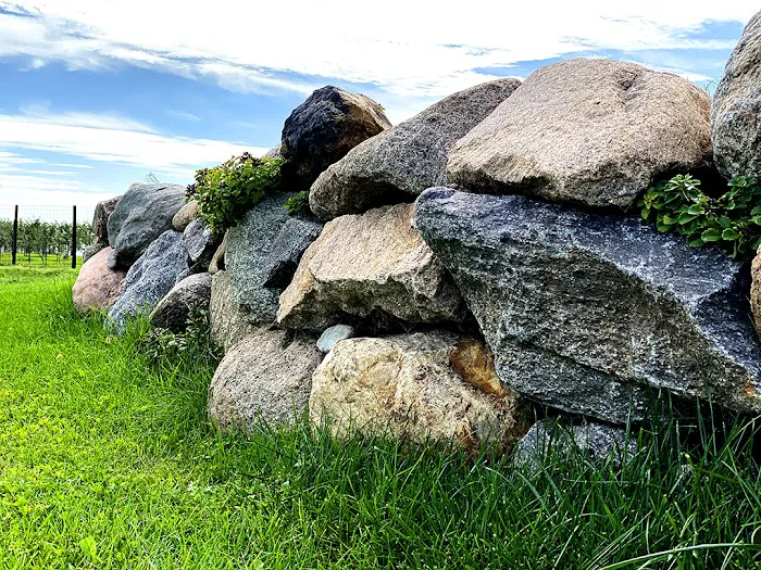 5 Sons, Landscape & Design Picture 3