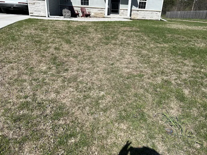TLC Lawns & Landscaping Picture 5