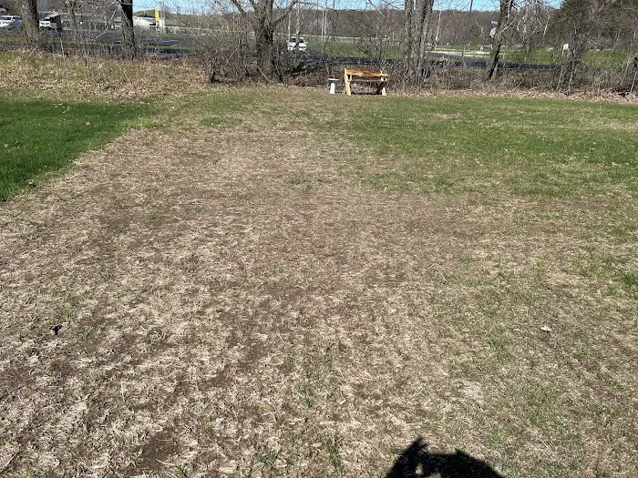 TLC Lawns & Landscaping Picture 9