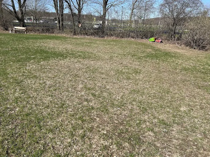 TLC Lawns & Landscaping Picture 10