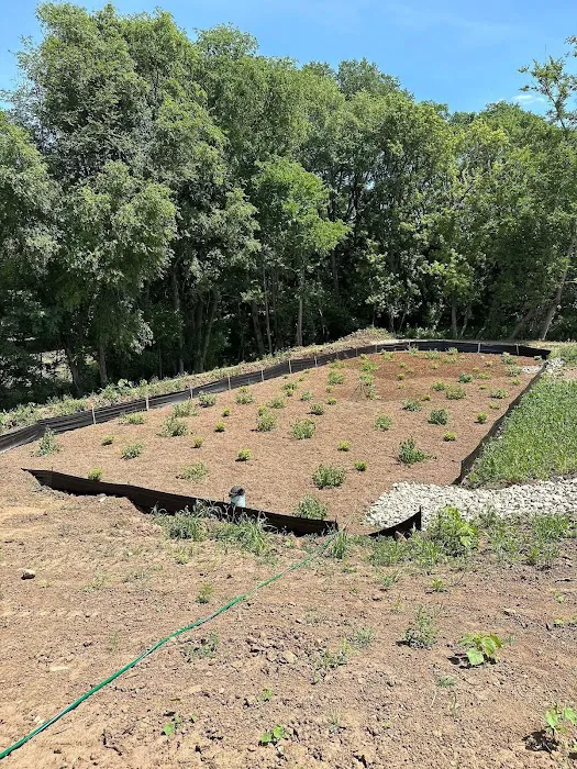 Green Boyz Lawn & Landscape Picture 10