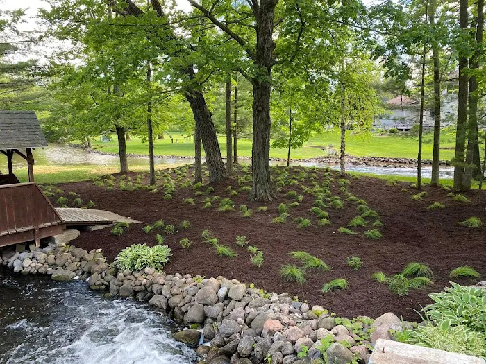 Green Boyz Lawn & Landscape Picture 9