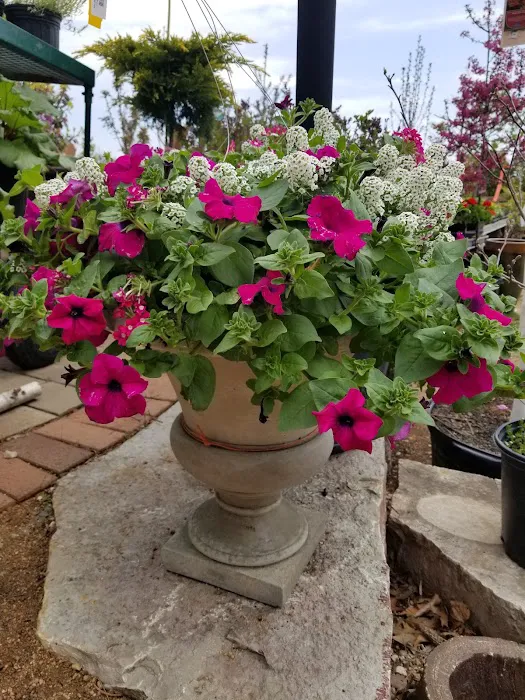 Otter Creek Landscape & Garden Center Picture 3