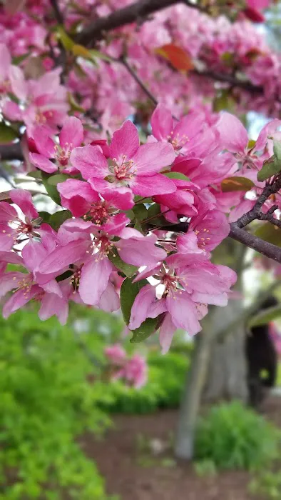 Otter Creek Landscape & Garden Center Picture 4
