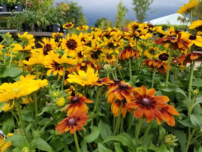 Otter Creek Landscape & Garden Center Picture 9