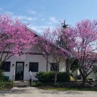 Otter Creek Landscape & Garden Center ico