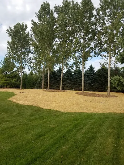 JAWS Lawn and Landscaping Picture 8