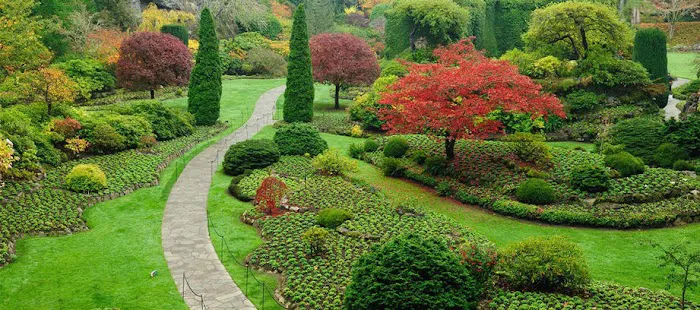 Jack's Lawn & Landscape Picture 2