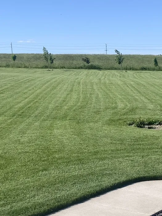 TruGreen Lawn Care Picture 3