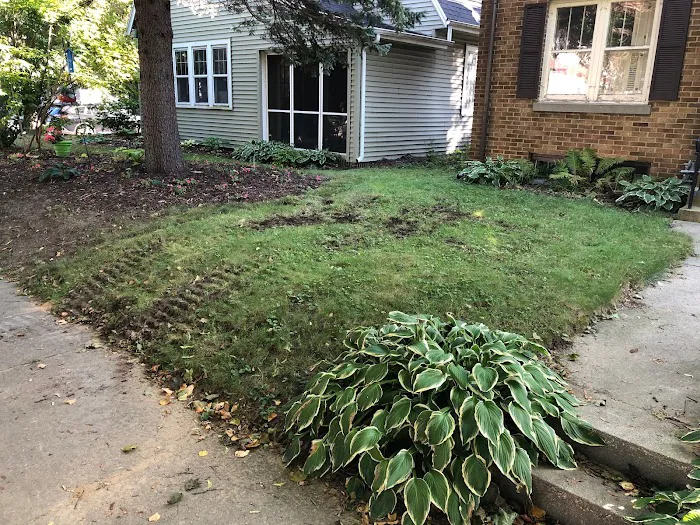 Mueller Lawn Manicuring LLC Picture 2